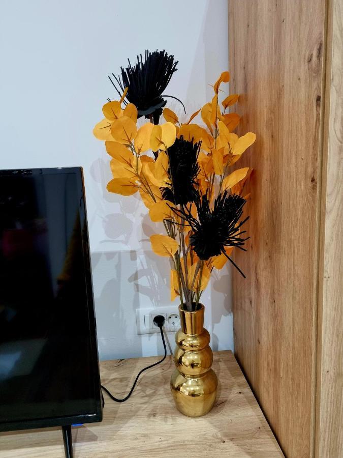 Retro Chic Studio PUY מראה חיצוני תמונה